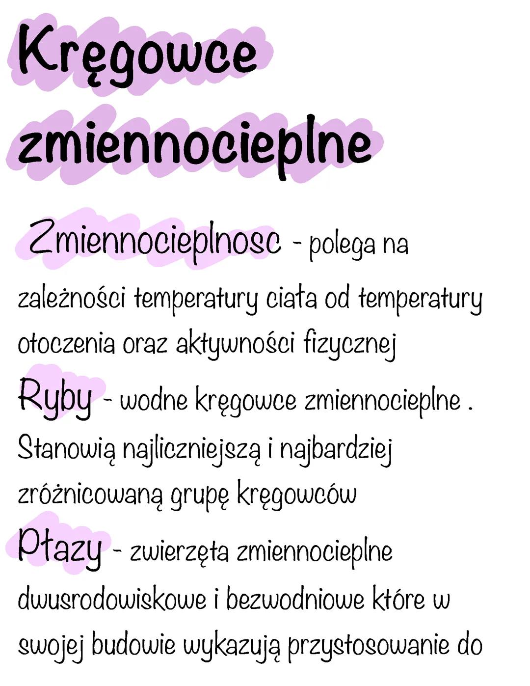 Kręgowce zmiennocieplne