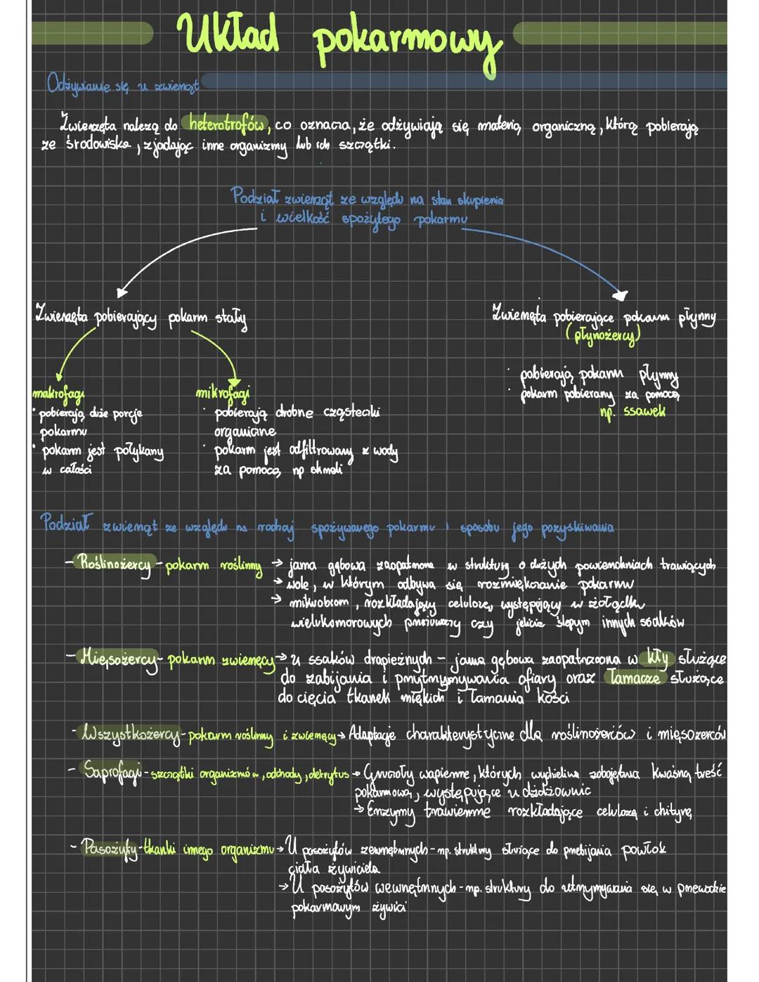 Odżywianie się zwierząt - zakres rozszerzony
