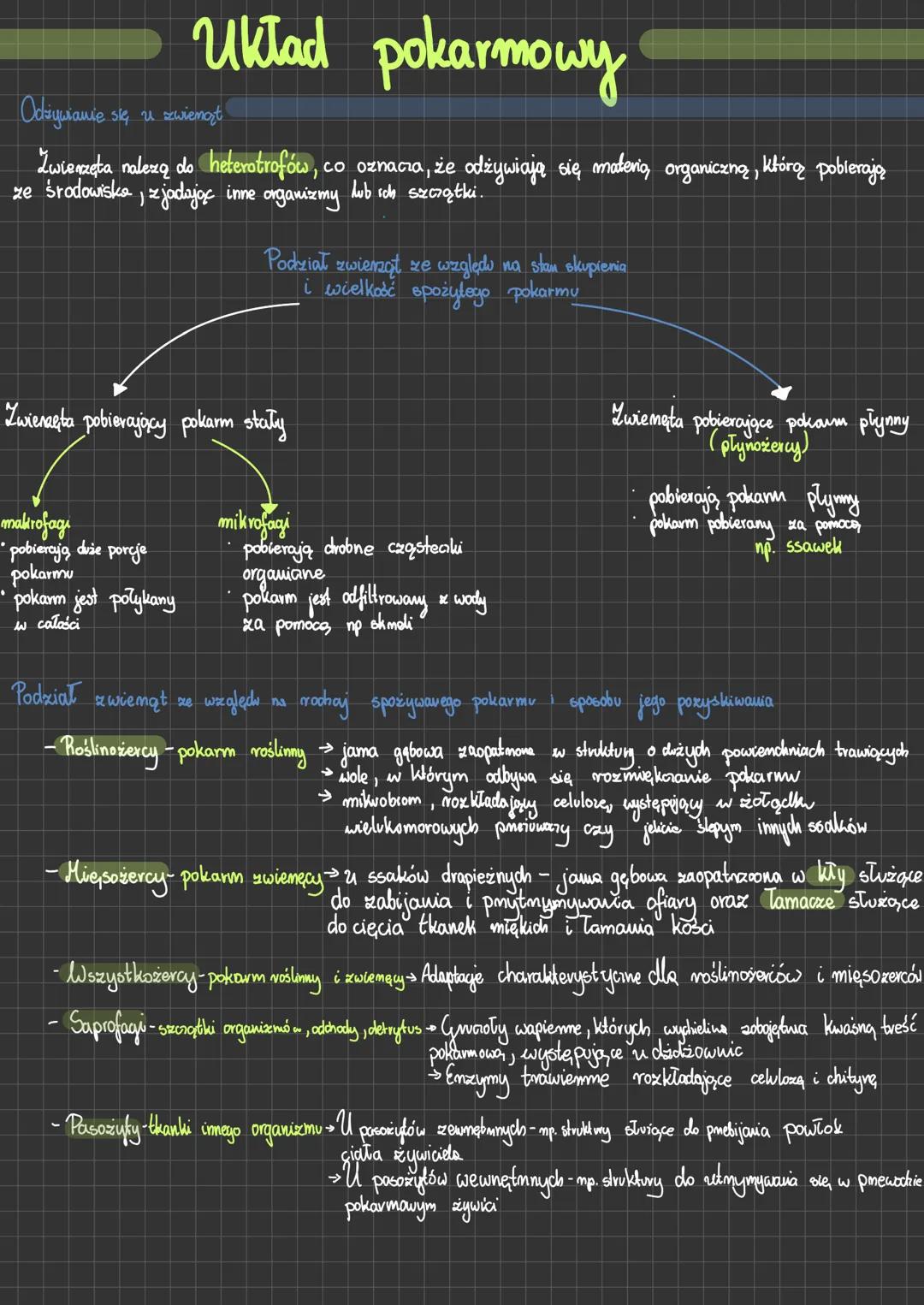 Układ pokarmowy
Odżywianie się u zwiemąt
Zwierzęta nalezą do heterotrofów, co oznacza, że odżywiają się materią, organiczną, którą pobierają