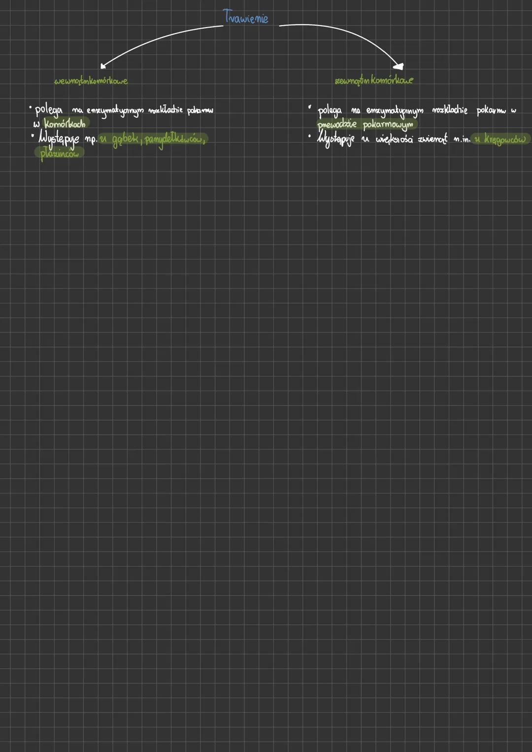 Układ pokarmowy
Odżywianie się u zwiemąt
Zwierzęta nalezą do heterotrofów, co oznacza, że odżywiają się materią, organiczną, którą pobierają