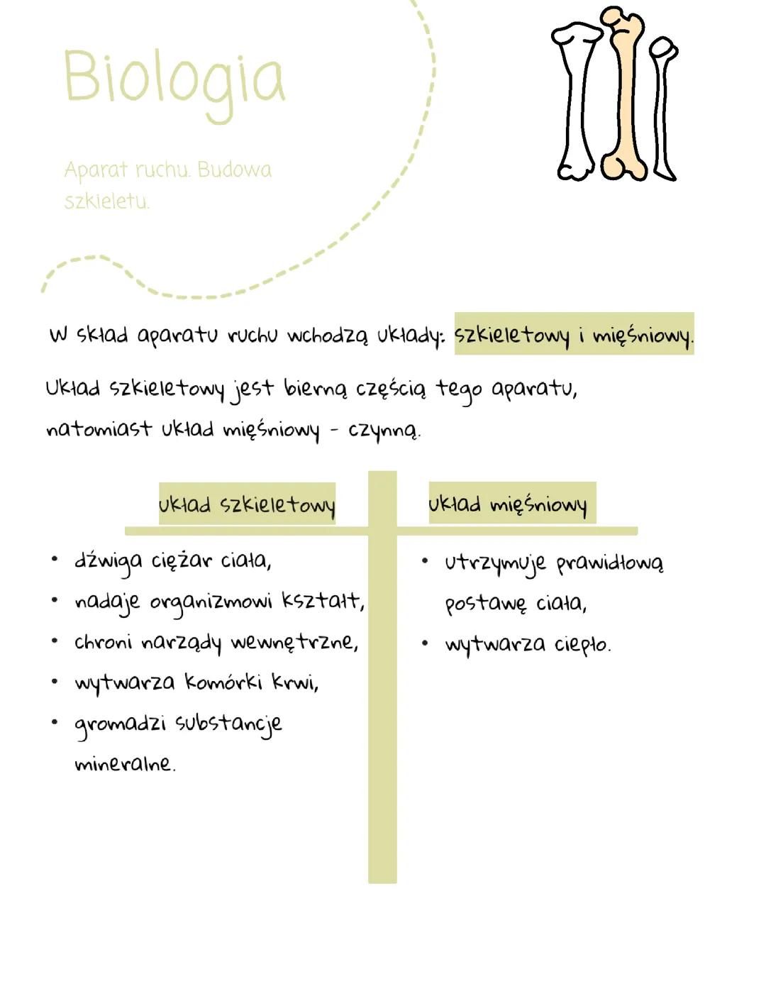 Biologia. Aparat ruchu. Budowa szkieletu.