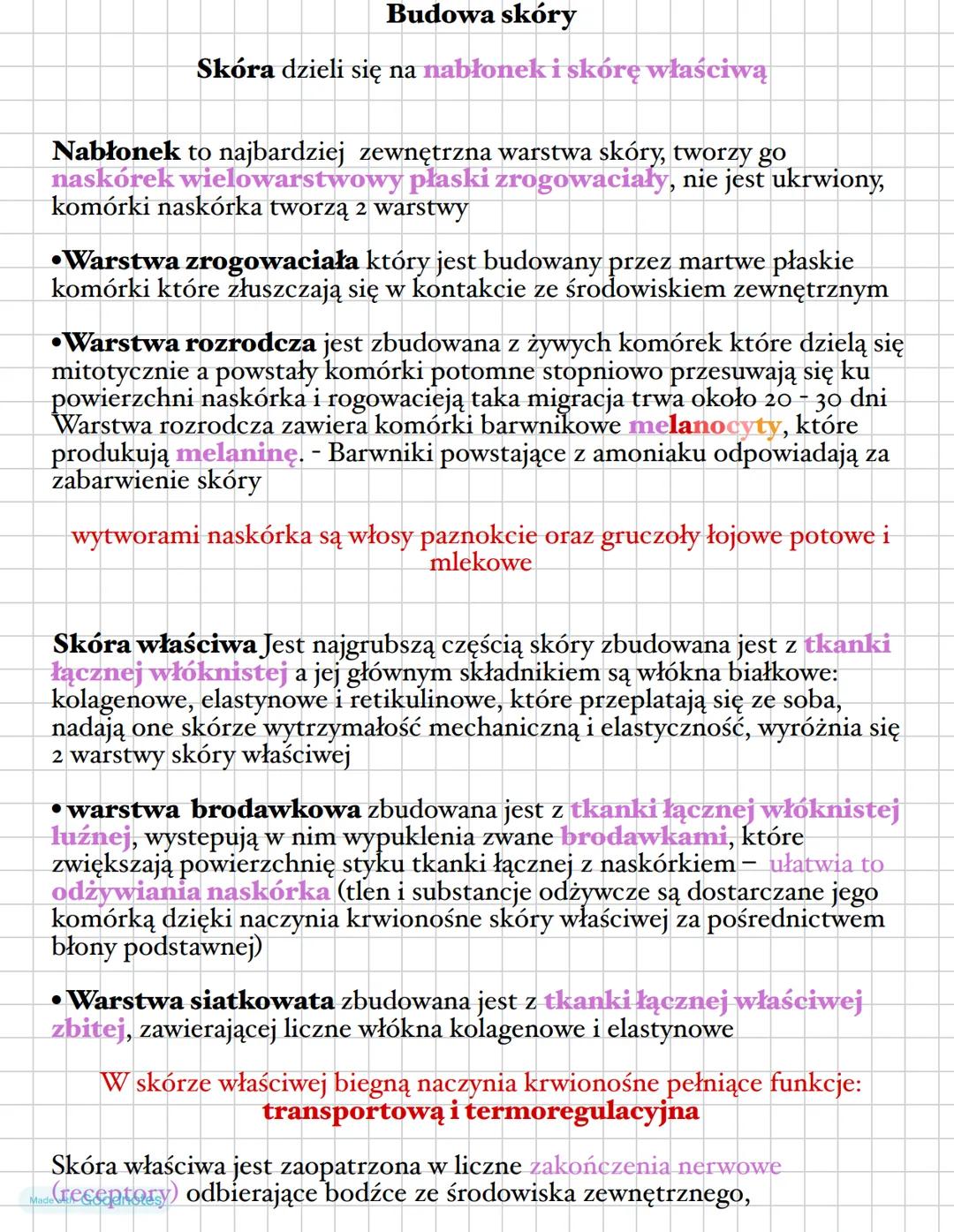 Budowa skóry
Skóra dzieli się na nabłonek i skórę właściwą
Nabłonek to najbardziej zewnętrzna warstwa skóry, tworzy go
naskórek wielowarstwo