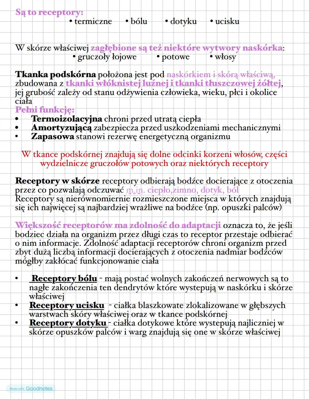 Budowa skóry
Skóra dzieli się na nabłonek i skórę właściwą
Nabłonek to najbardziej zewnętrzna warstwa skóry, tworzy go
naskórek wielowarstwo