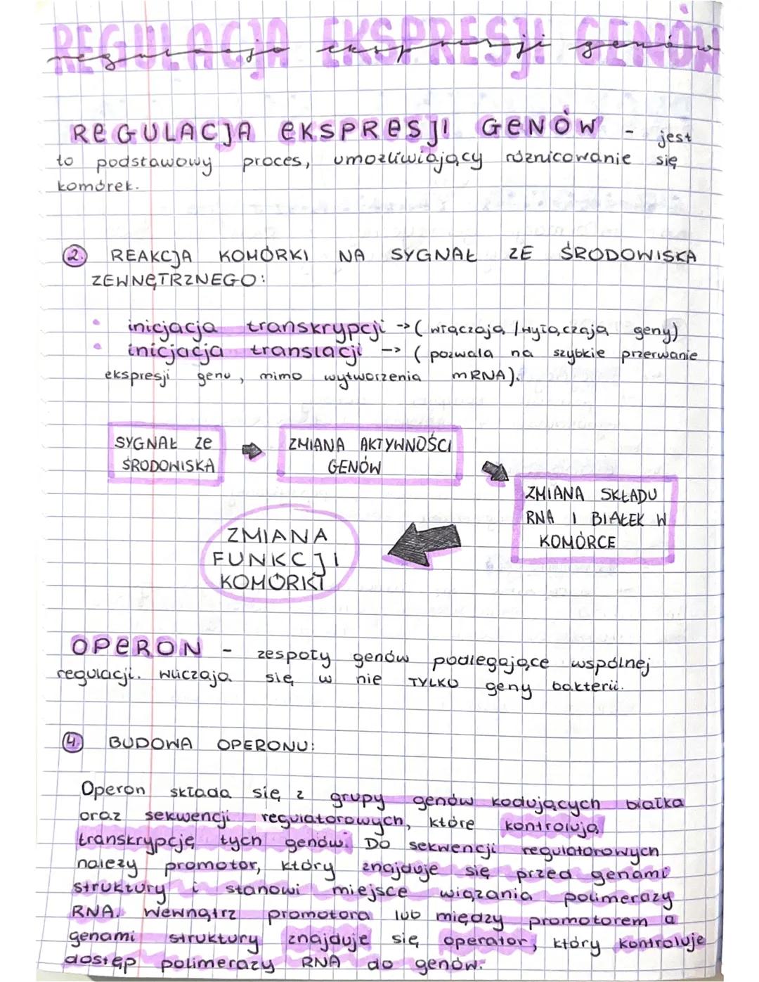 Regulacja Ekspresji Genów