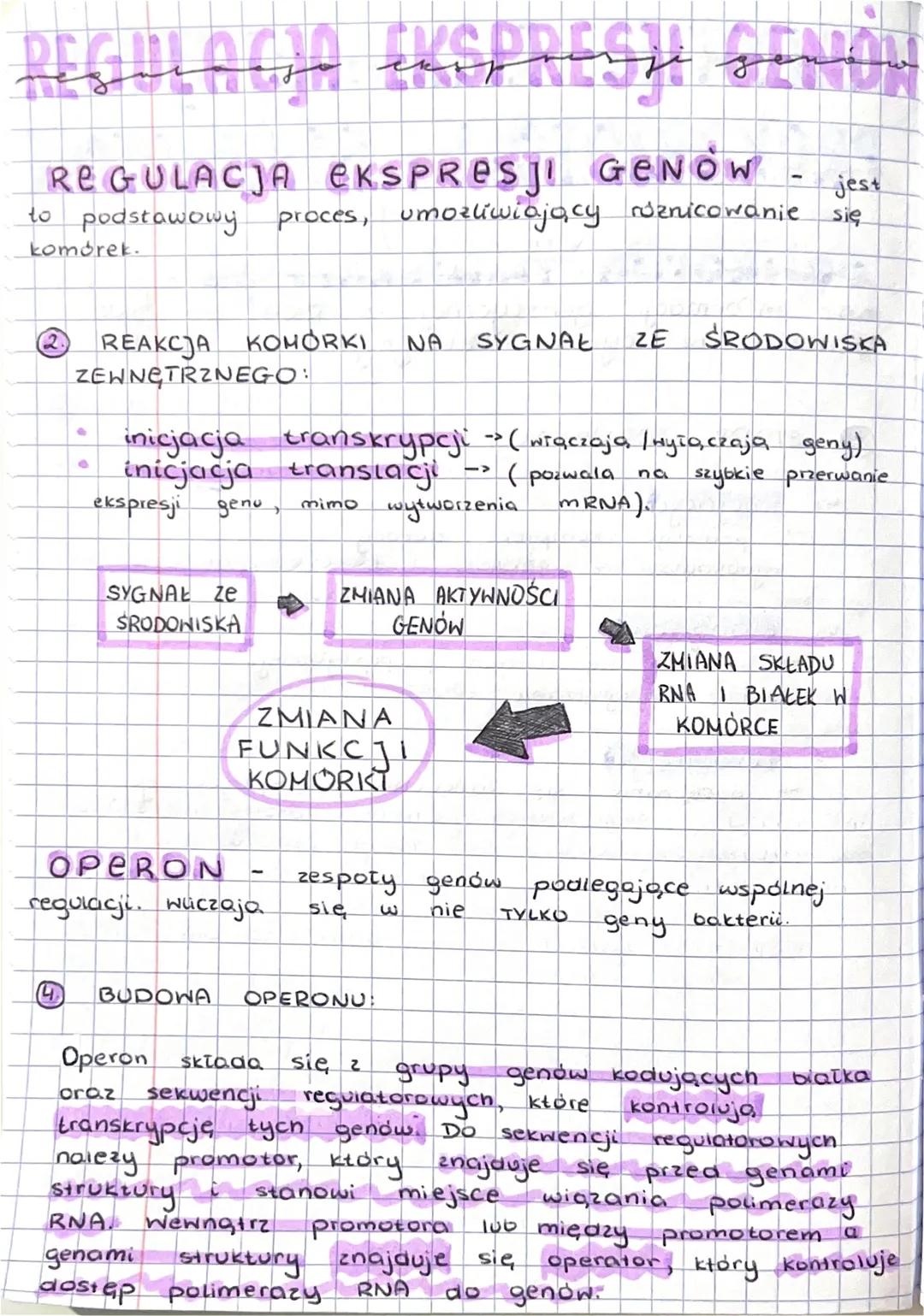 REGULACIA EKSPRESH GENO
REGULACJA EKSPRESJI GENOW
proces, umożliwiający ruznicowanie
to podstawowy.
.
jest
się
komórek.
2
REAKCJA KOMÓRKI
NA