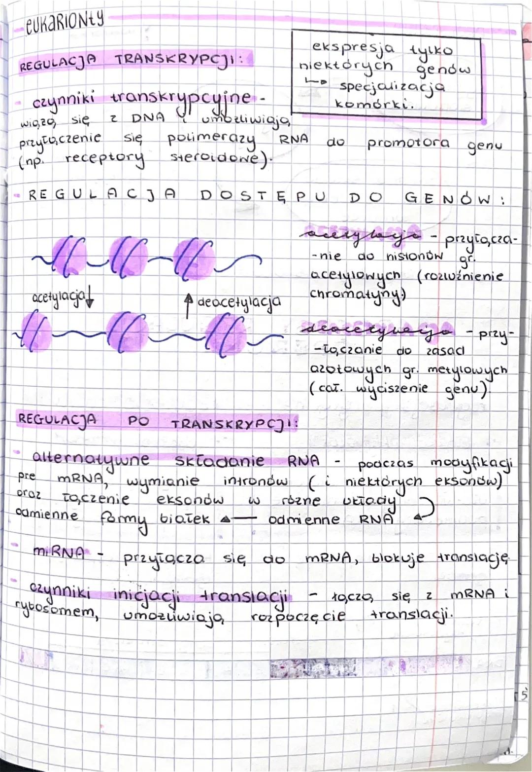 REGULACIA EKSPRESH GENO
REGULACJA EKSPRESJI GENOW
proces, umożliwiający ruznicowanie
to podstawowy.
.
jest
się
komórek.
2
REAKCJA KOMÓRKI
NA