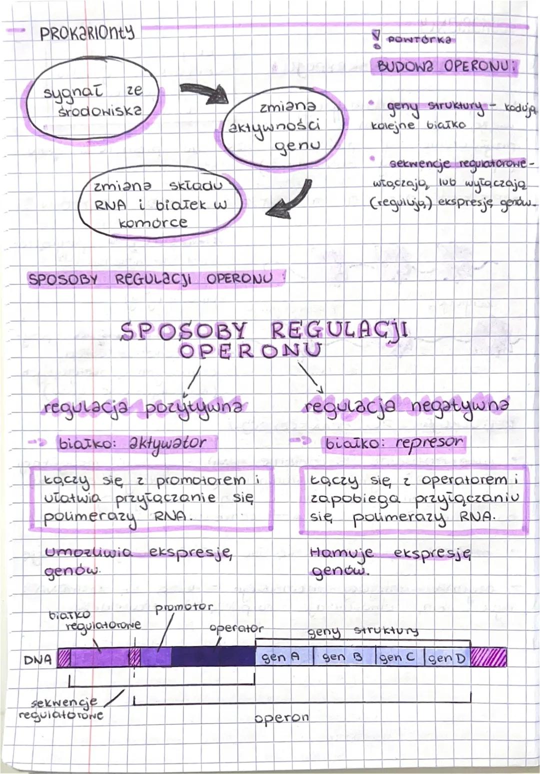 REGULACIA EKSPRESH GENO
REGULACJA EKSPRESJI GENOW
proces, umożliwiający ruznicowanie
to podstawowy.
.
jest
się
komórek.
2
REAKCJA KOMÓRKI
NA