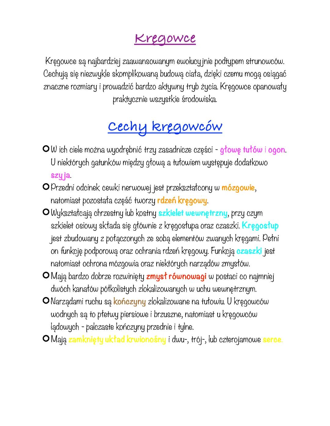 Cechy charakterystyczne kręgowców