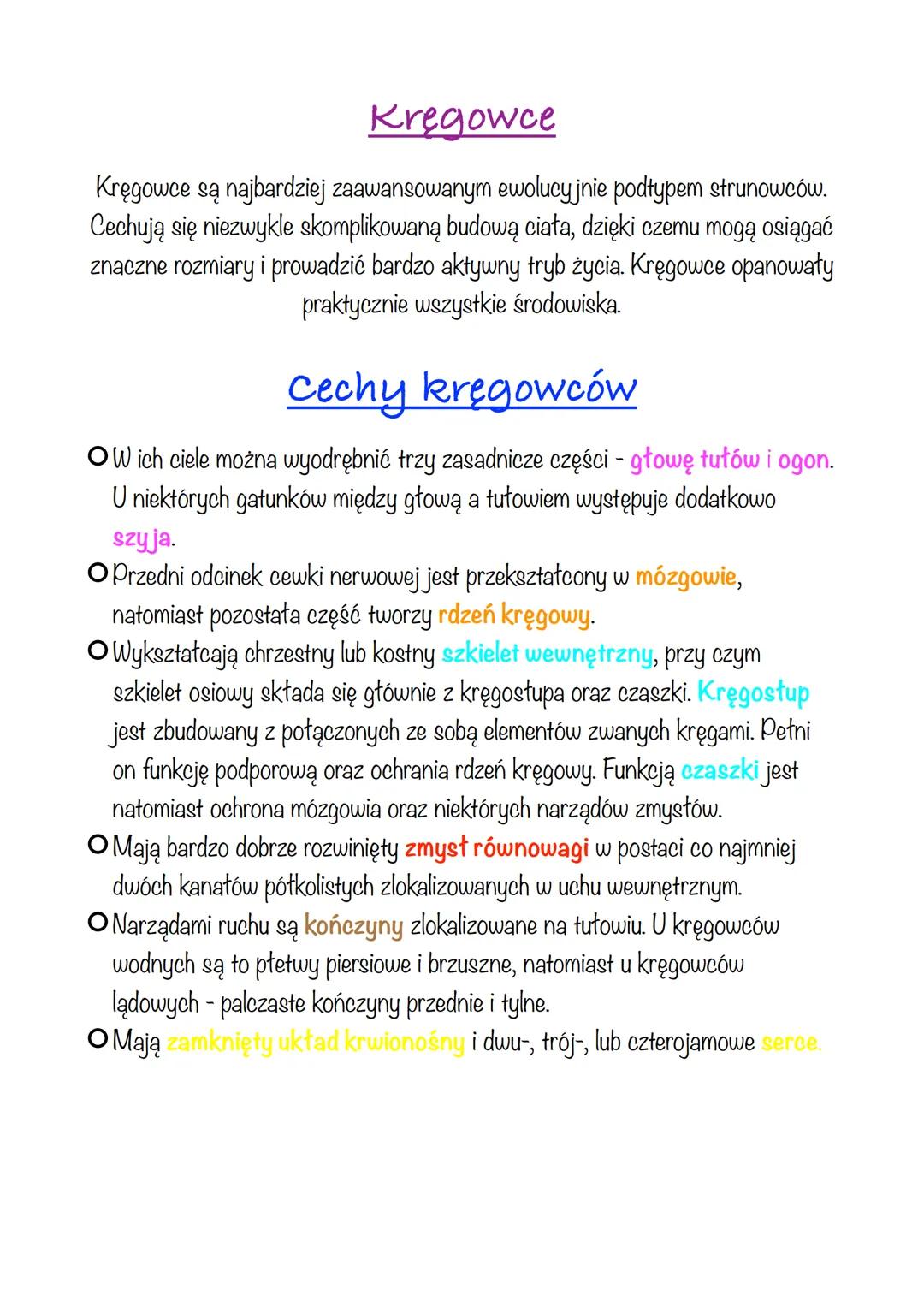 Kręgowce
Kręgowce są najbardziej zaawansowanym ewolucyjnie podtypem strunowców.
Cechują się niezwykle skomplikowaną budową ciała, dzięki cze