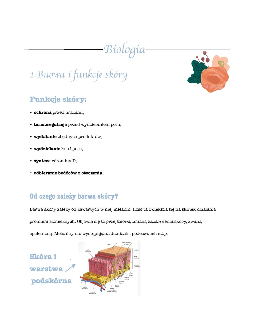 Budowa i funkcje skóry