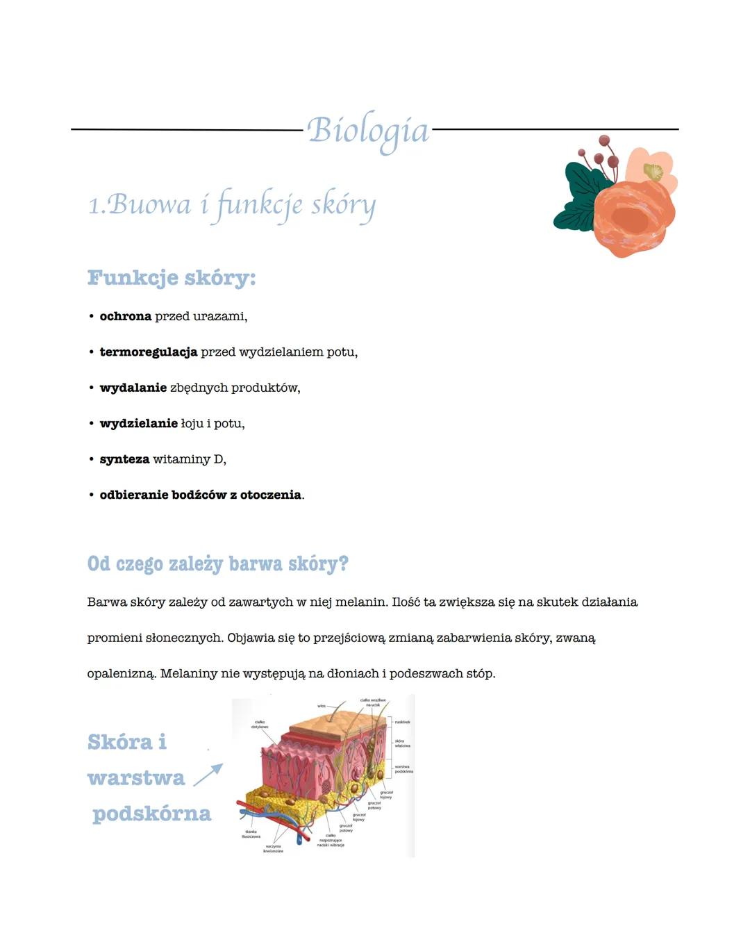 Biologia-
1.Buowa i funkcje skóry
Funkcje skóry:
⚫ ochrona przed urazami,
⚫ termoregulacja przed wydzielaniem potu,
•
wydalanie zbędnych pro