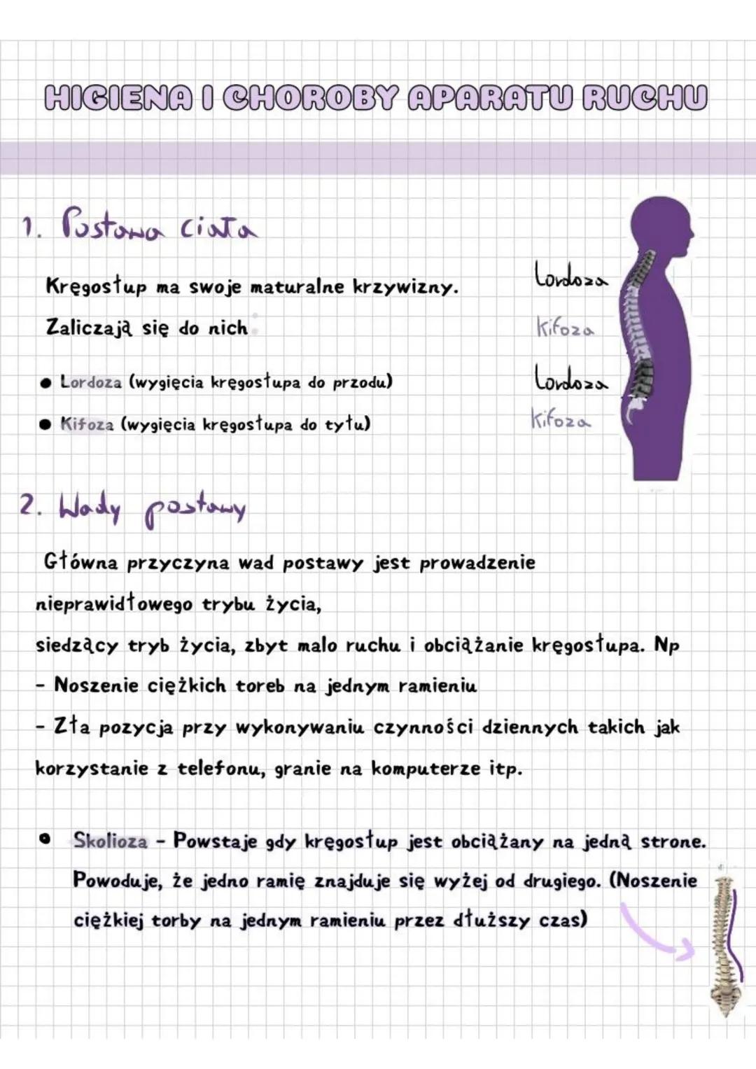 HIGIENA I CHOROBY APARATU RUCHU
1. Postona ciała
Lordoza
Kręgosłup ma swoje maturalne krzywizny.
Zaliczają się do nich
Kifoza
Lordoza (wygię