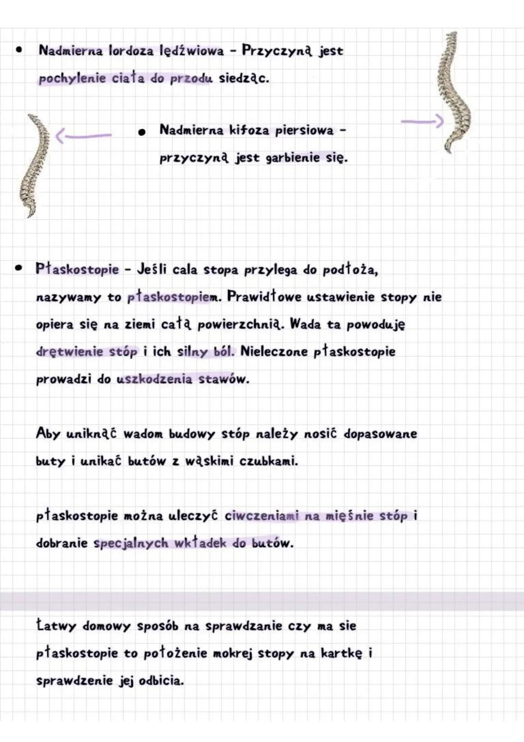 HIGIENA I CHOROBY APARATU RUCHU
1. Postona ciała
Lordoza
Kręgosłup ma swoje maturalne krzywizny.
Zaliczają się do nich
Kifoza
Lordoza (wygię