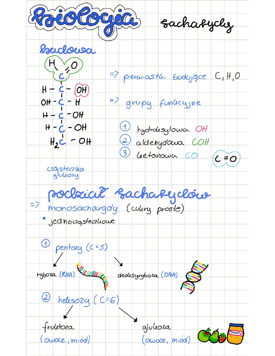 Sacharydy - biologia rozszerzona
