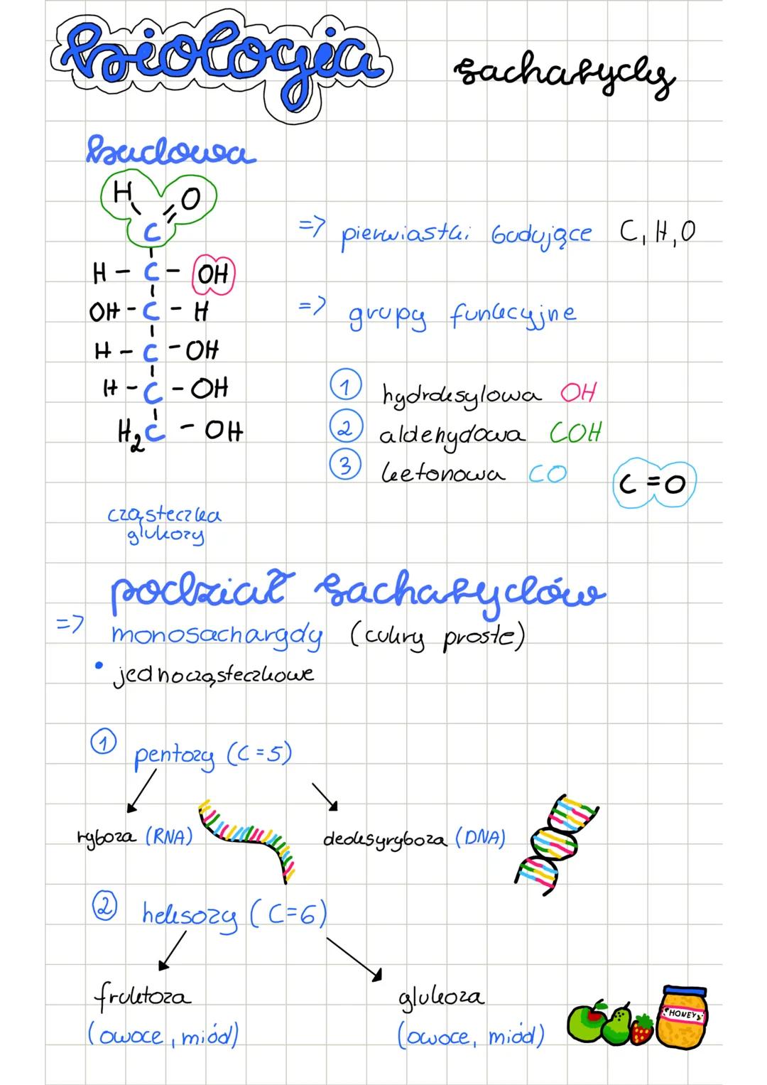 Poiologia sachatycly
budowa
H О
C
H-C-OH
OH-C-H
<=
=>
pierwiastki budujące C, H, O
grupy funkcyjne
Н-С-ОН
1
H-C-OH
нас - он
1
hydroksylowa O