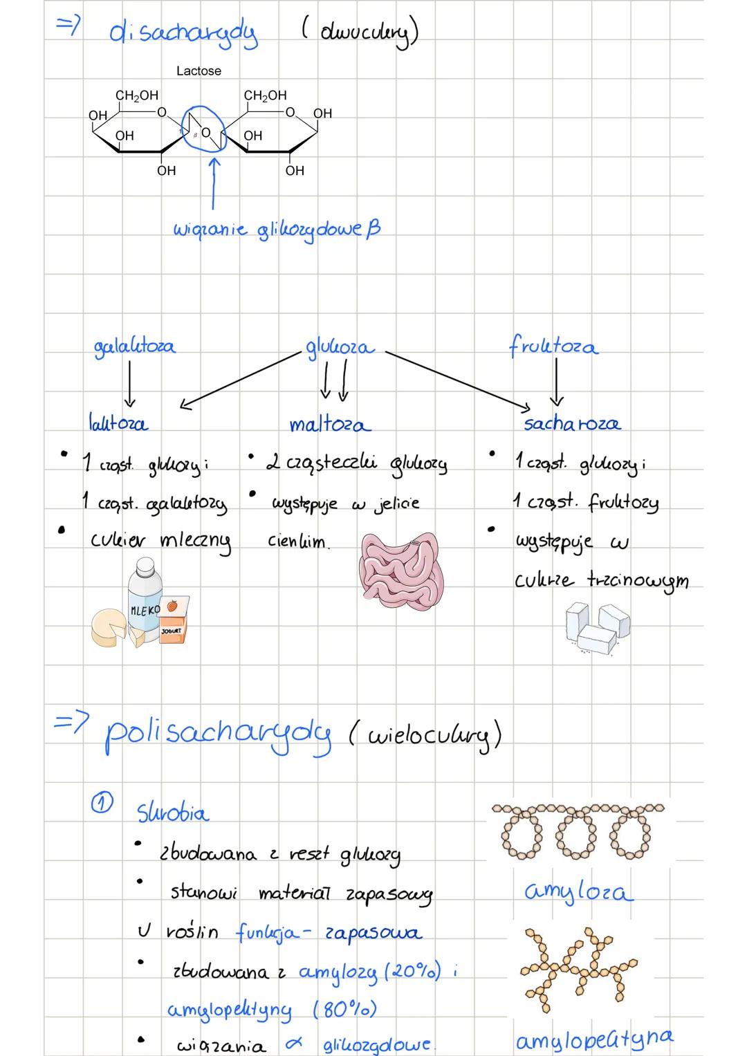 Poiologia sachatycly
budowa
H О
C
H-C-OH
OH-C-H
<=
=>
pierwiastki budujące C, H, O
grupy funkcyjne
Н-С-ОН
1
H-C-OH
нас - он
1
hydroksylowa O