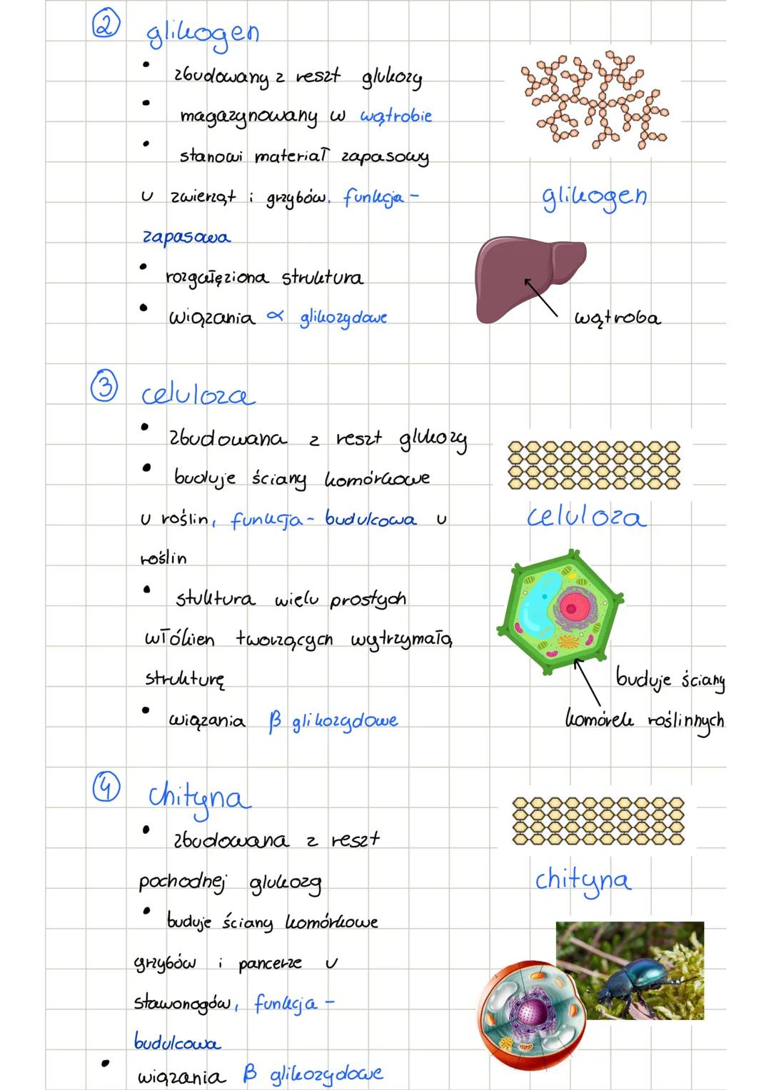 Poiologia sachatycly
budowa
H О
C
H-C-OH
OH-C-H
<=
=>
pierwiastki budujące C, H, O
grupy funkcyjne
Н-С-ОН
1
H-C-OH
нас - он
1
hydroksylowa O