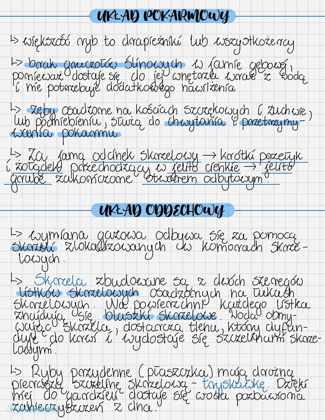 # RyBy
Kształt ciała zależy od warunków i torybu życia
ryby, ale zazwyczaj jest on worzecionowaty, co pozwala
na Tatwe pokoniwanie opone wo