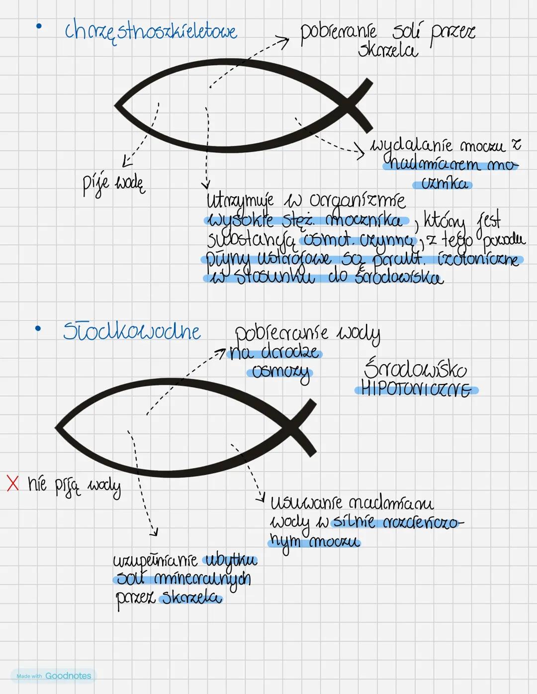 # RyBy
Kształt ciała zależy od warunków i torybu życia
ryby, ale zazwyczaj jest on worzecionowaty, co pozwala
na Tatwe pokoniwanie opone wo