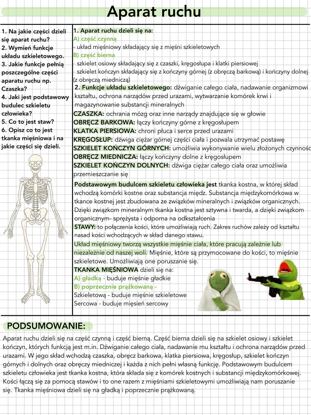 1. Na jakie części dzieli
się aparat ruchu?
2. Wymień funkcje
układu szkieletowego.
3. Jakie funkcje pełnią
poszczególne części
aparatu ruch