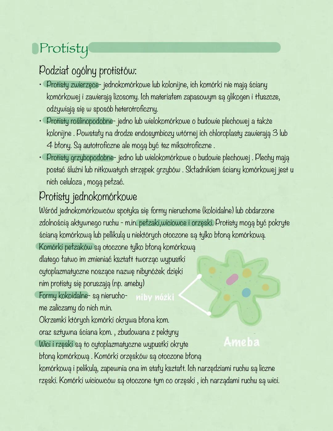 # Protisty
Podział ogólny protistów:
- Protisty zwierzęce-jednokomórkowe lub kolonijne, ich komórki nie mają ściany
komórkowej i zawierają