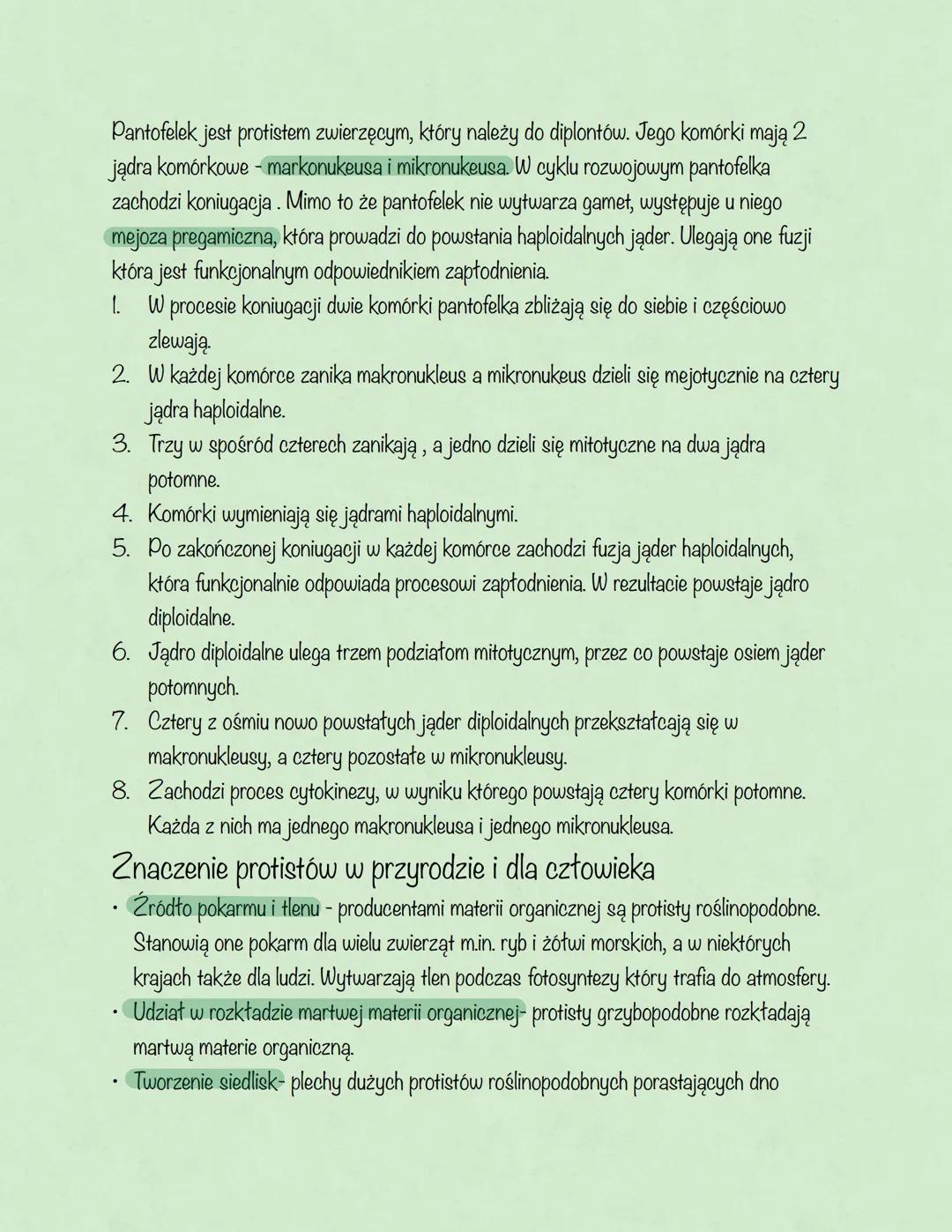 # Protisty
Podział ogólny protistów:
- Protisty zwierzęce-jednokomórkowe lub kolonijne, ich komórki nie mają ściany
komórkowej i zawierają