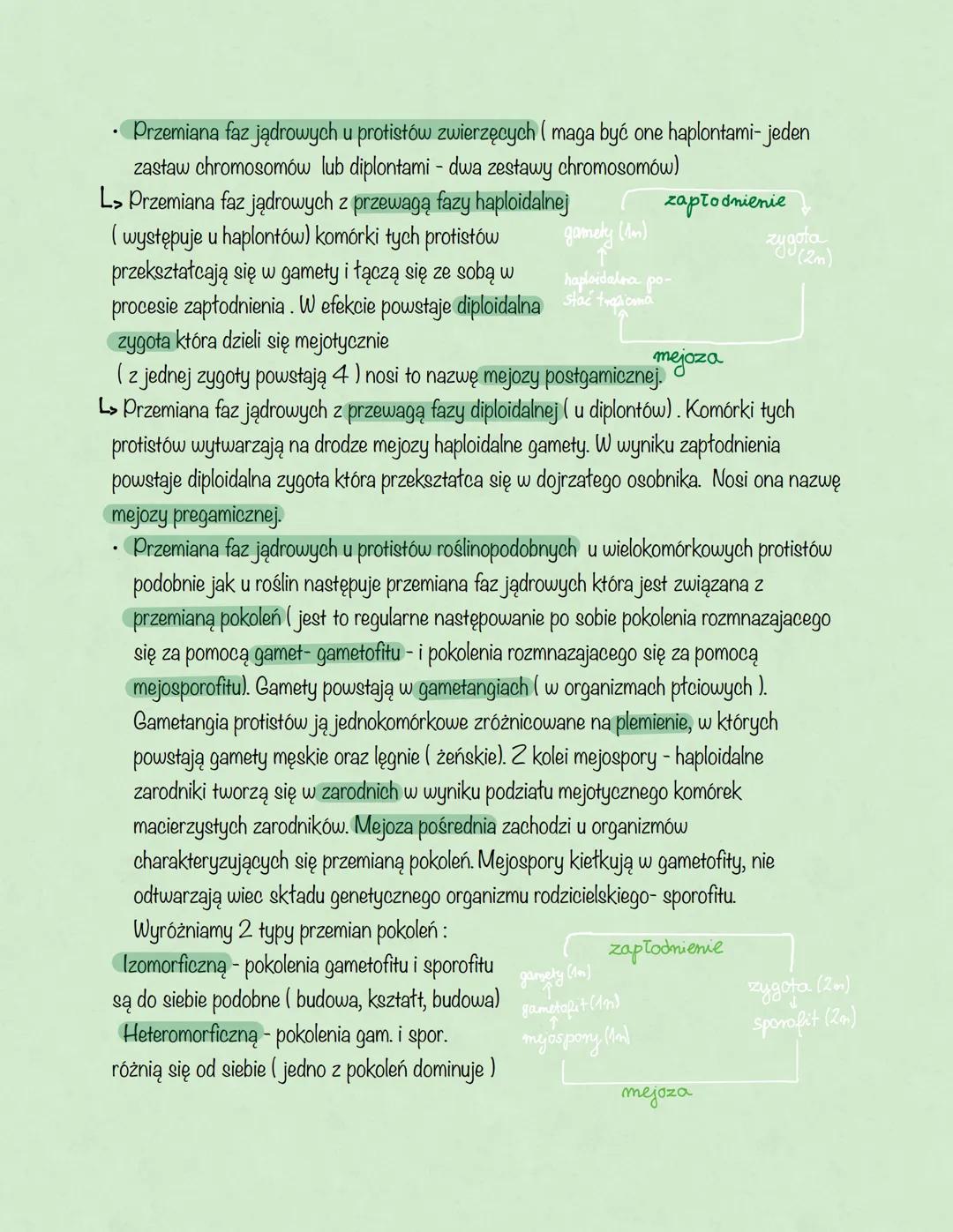 # Protisty
Podział ogólny protistów:
- Protisty zwierzęce-jednokomórkowe lub kolonijne, ich komórki nie mają ściany
komórkowej i zawierają