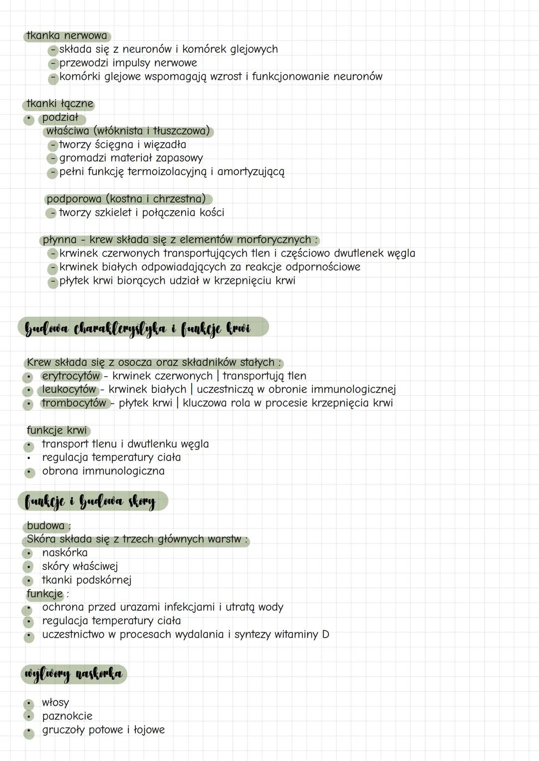 Shora i Chanki
Biztegiat
Pedzial charakterystyka i funkcje Chanek
tkanka nabłonkowa:
- podział:
- nabłonek jednowarstwowy plaski
- umo
