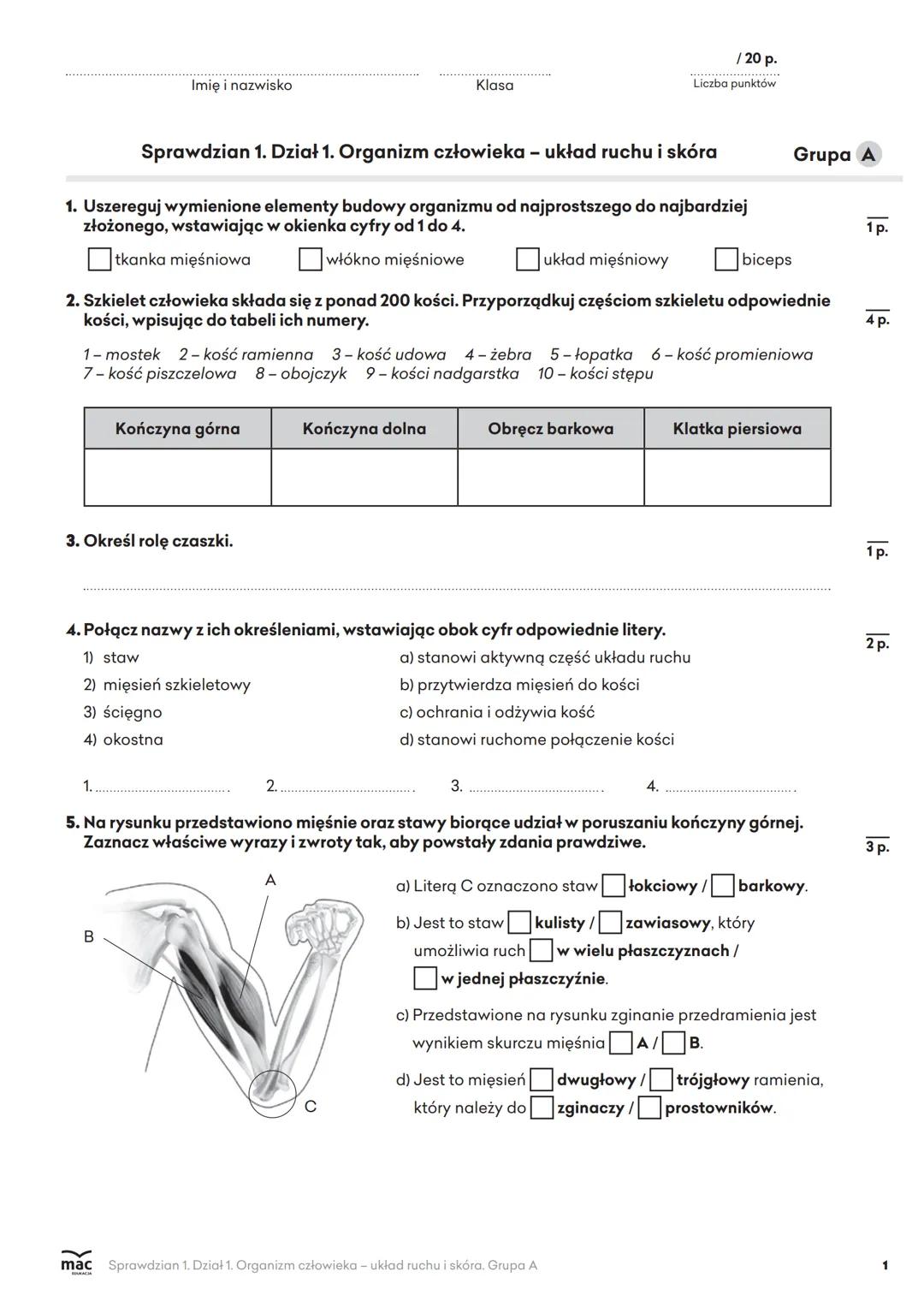 Imię i nazwisko
Klasa
/ 20 p.
Liczba punktów
Sprawdzian 1. Dział 1. Organizm człowieka - układ ruchu i skóra
1. Uszereguj wymienione element