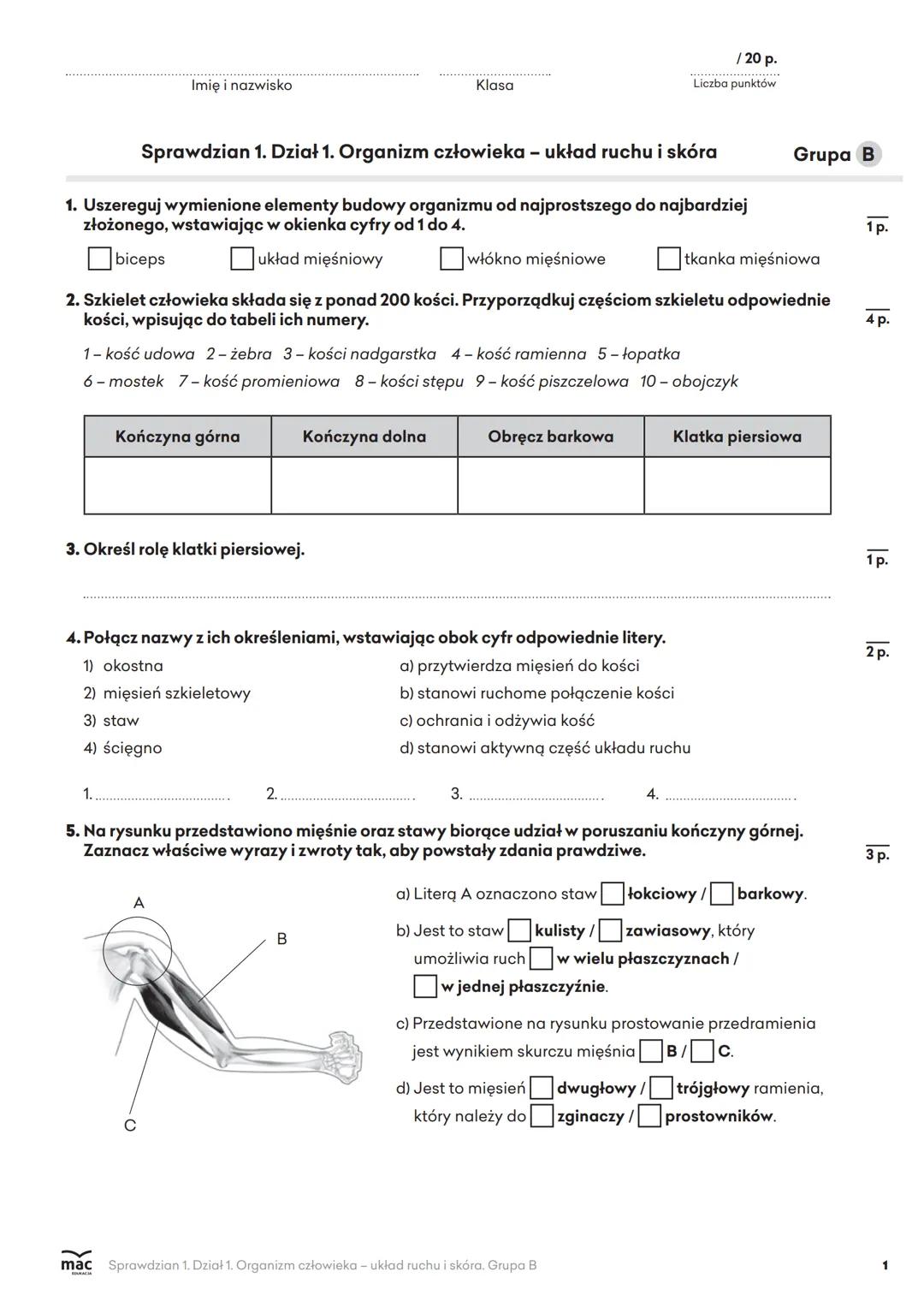 Imię i nazwisko
Klasa
/ 20 p.
Liczba punktów
Sprawdzian 1. Dział 1. Organizm człowieka - układ ruchu i skóra
1. Uszereguj wymienione element