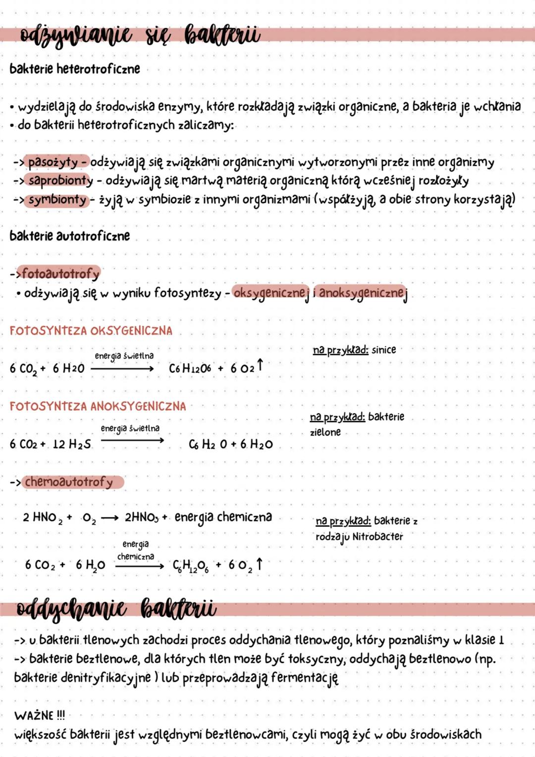 bakterie
budowa bakterii
bakterie są organizmami prokariotycznymi, czyli ich komórki nie posiadają jądra
komórkowego
• bakterie mogą przyjmo