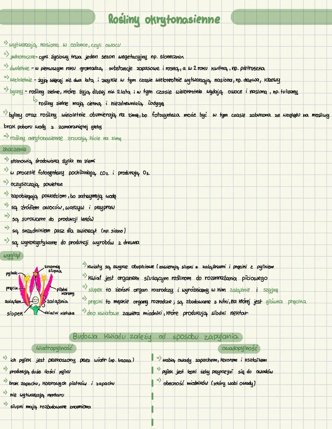 # Rośliny okrytonasienne
=> wytwanają, nasiona wasionce, czyli owocu
=> jednoroczne-cynı życiowy trwa jeden sezon wegetacyjny np. słoneczn
