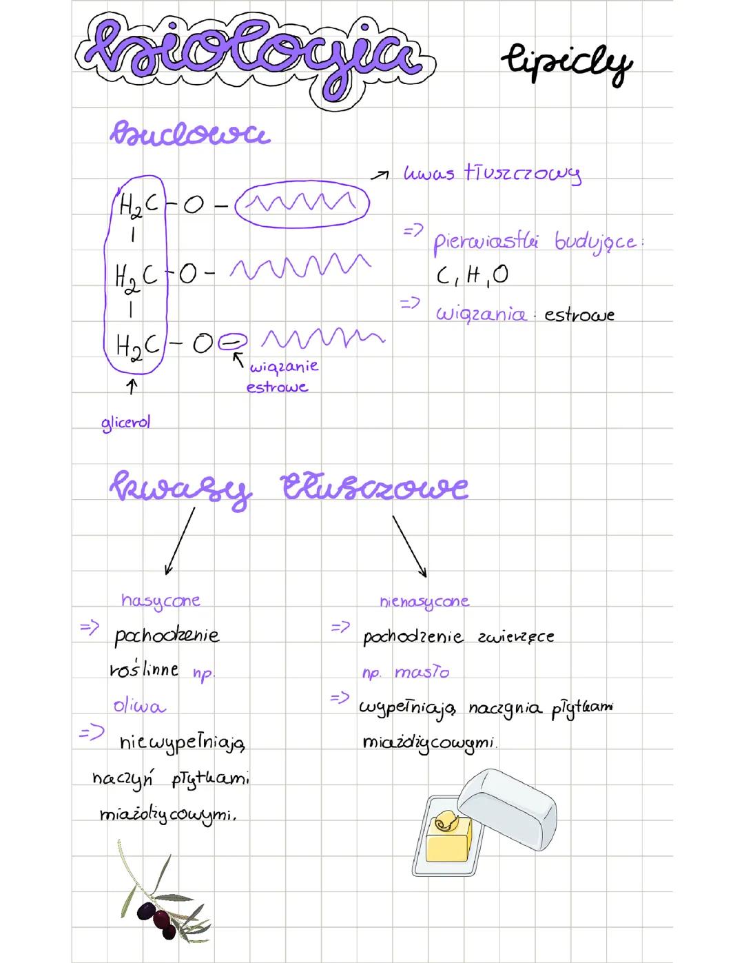 Lipidy - biologia rozszerzona 🔬