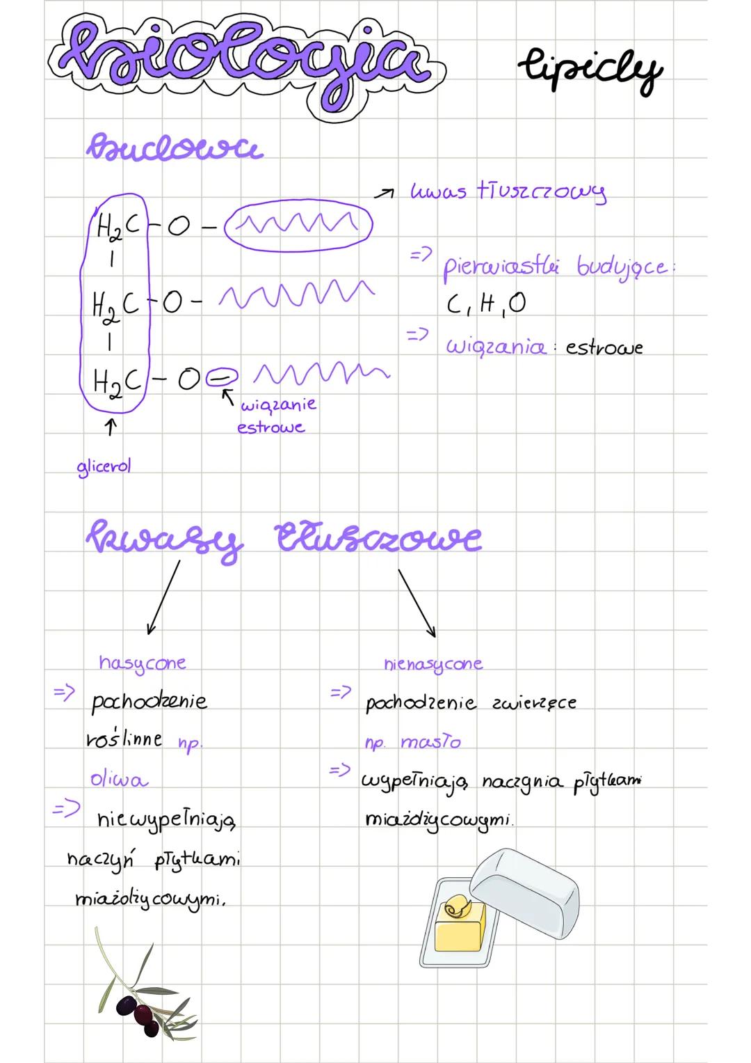 Diologia lipicly
Bouclowa
H₂C-O-
H₂C-O-mum
H₂C-02 mm
5
wiązanie
↑
glicerol
estrowe
kwas tłuszczowy
=> pierwiastki budujące:
CHO
=>
wiązania