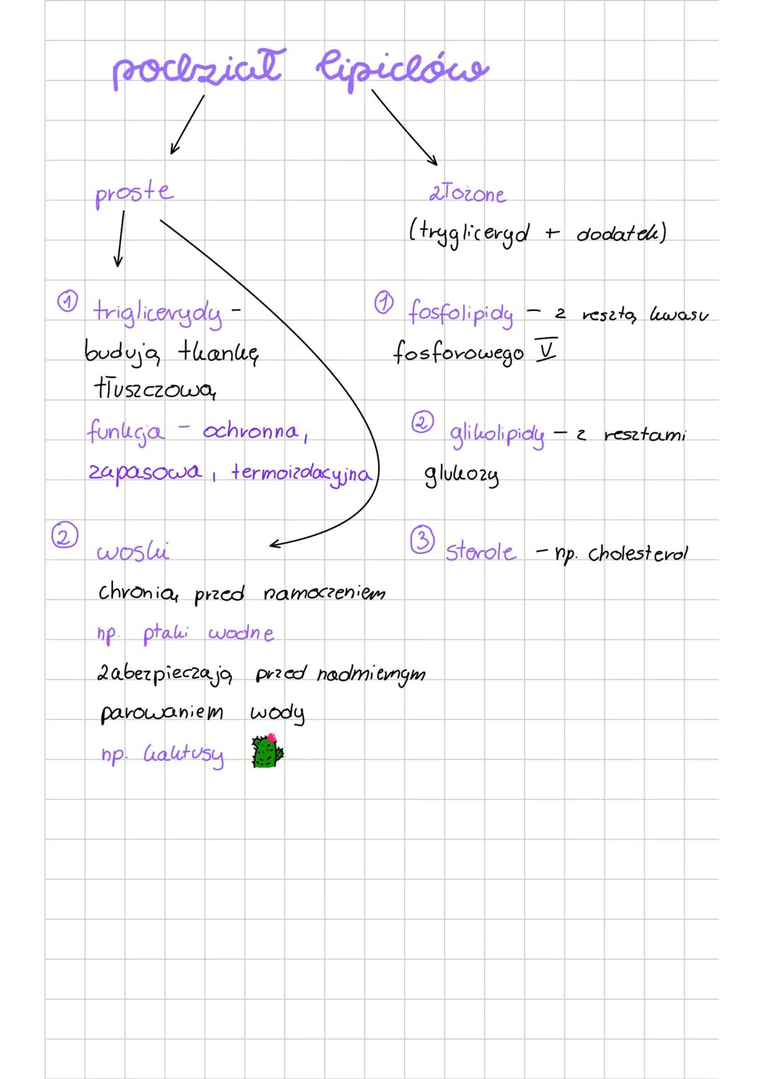 Diologia lipicly
Bouclowa
H₂C-O-
H₂C-O-mum
H₂C-02 mm
5
wiązanie
↑
glicerol
estrowe
kwas tłuszczowy
=> pierwiastki budujące:
CHO
=>
wiązania