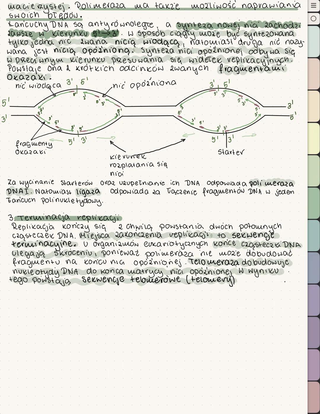 wolne
REPLIKACJA DNA
jest to proces który polega na powielaniu
DNA w komórce zachodzi w fazie s cyklu komórkowego.
Replikacja DNA jest proce