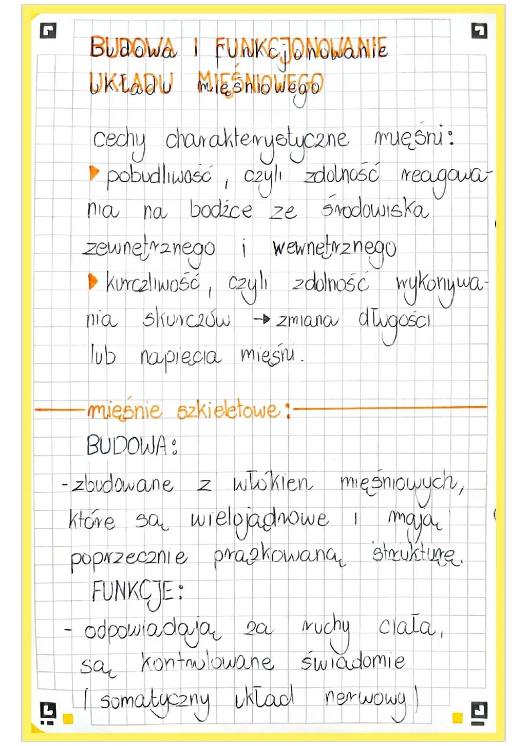 # BUDOWA I FUNKCJONOWANIE
# UKŁADU MIĘŚNIOWEGO
cechy charakterystyczne mięsni:
- pobudliwość, czyli zdolność reagowa-
nia na bodźce ze srod