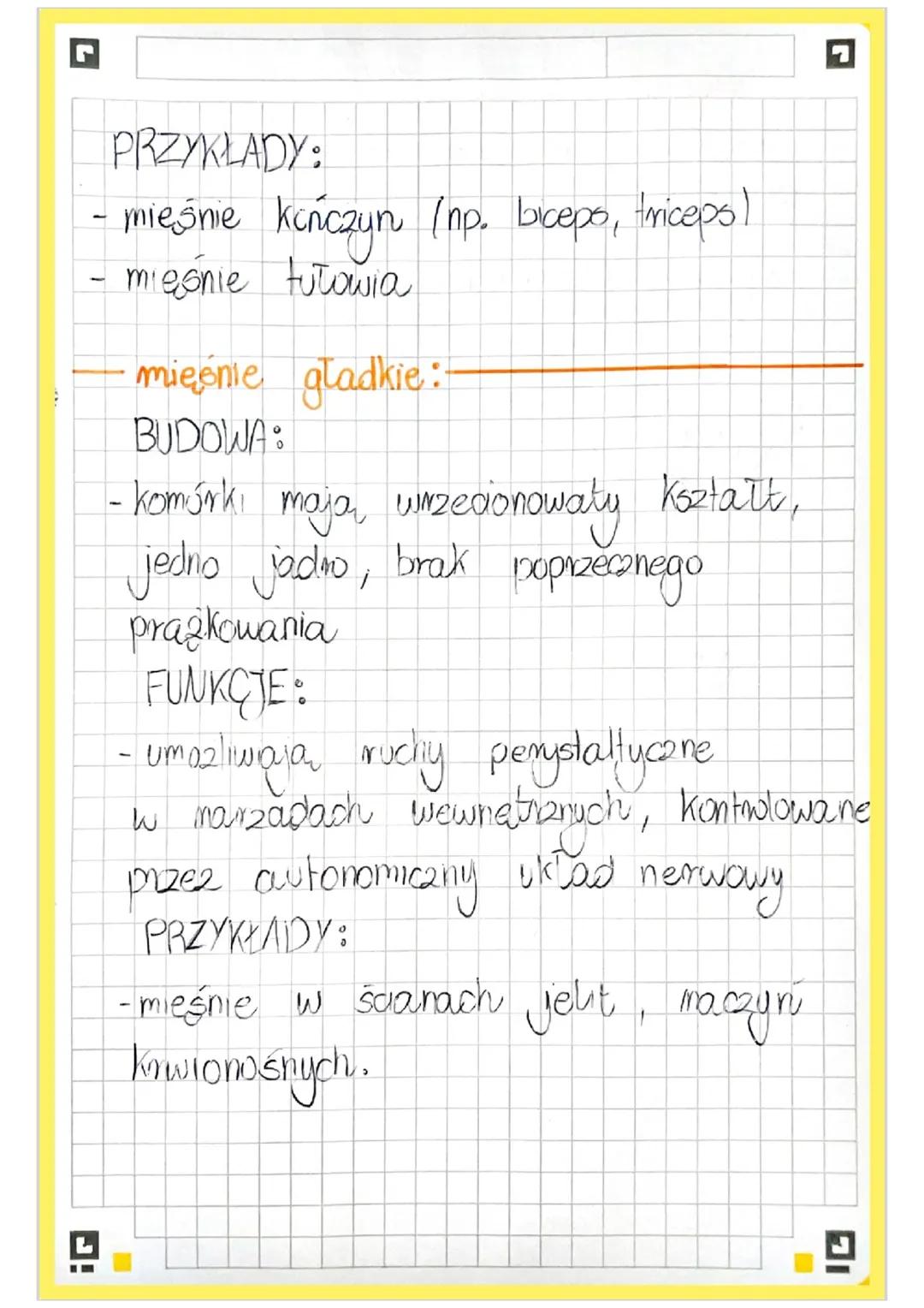 # BUDOWA I FUNKCJONOWANIE
# UKŁADU MIĘŚNIOWEGO
cechy charakterystyczne mięsni:
- pobudliwość, czyli zdolność reagowa-
nia na bodźce ze srod
