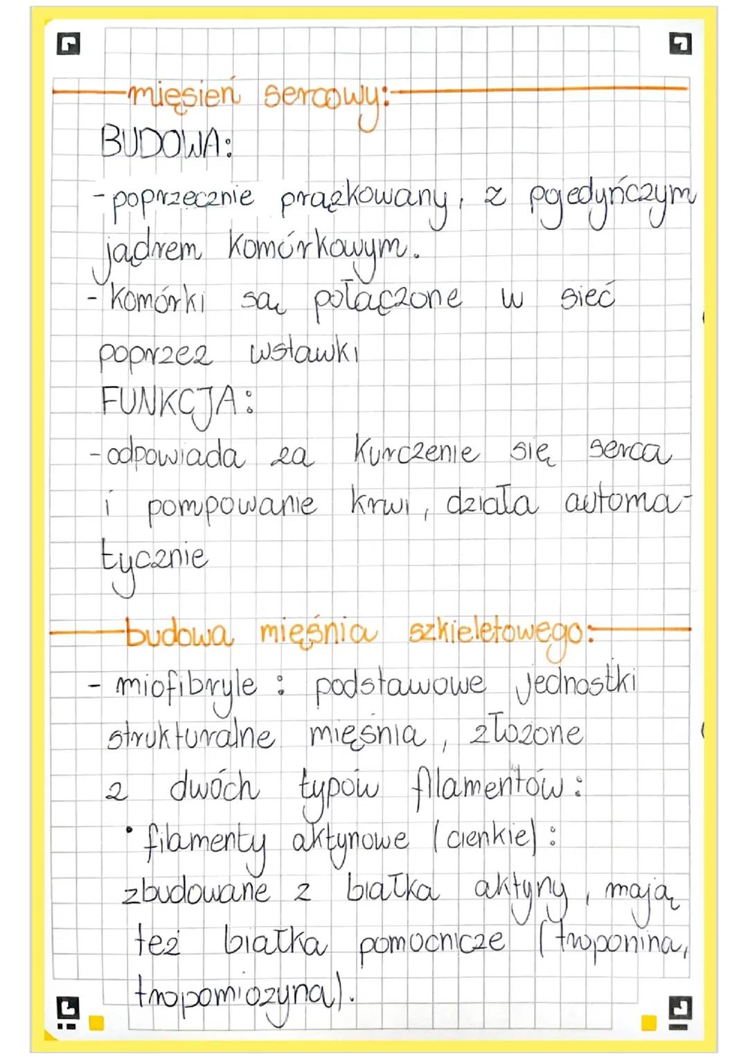 # BUDOWA I FUNKCJONOWANIE
# UKŁADU MIĘŚNIOWEGO
cechy charakterystyczne mięsni:
- pobudliwość, czyli zdolność reagowa-
nia na bodźce ze srod