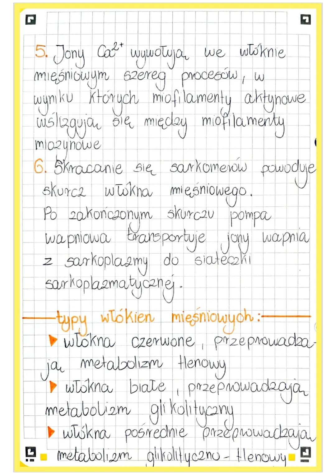# BUDOWA I FUNKCJONOWANIE
# UKŁADU MIĘŚNIOWEGO
cechy charakterystyczne mięsni:
- pobudliwość, czyli zdolność reagowa-
nia na bodźce ze srod
