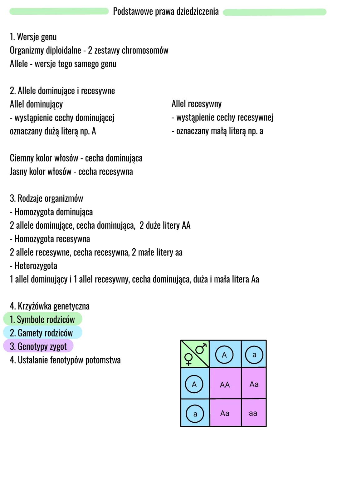 # Podstawowe prawa dziedziczenia
1. Wersje genu
Organizmy diploidalne - 2 zestawy chromosomów
Allele - wersje tego samego genu
2. Allele d