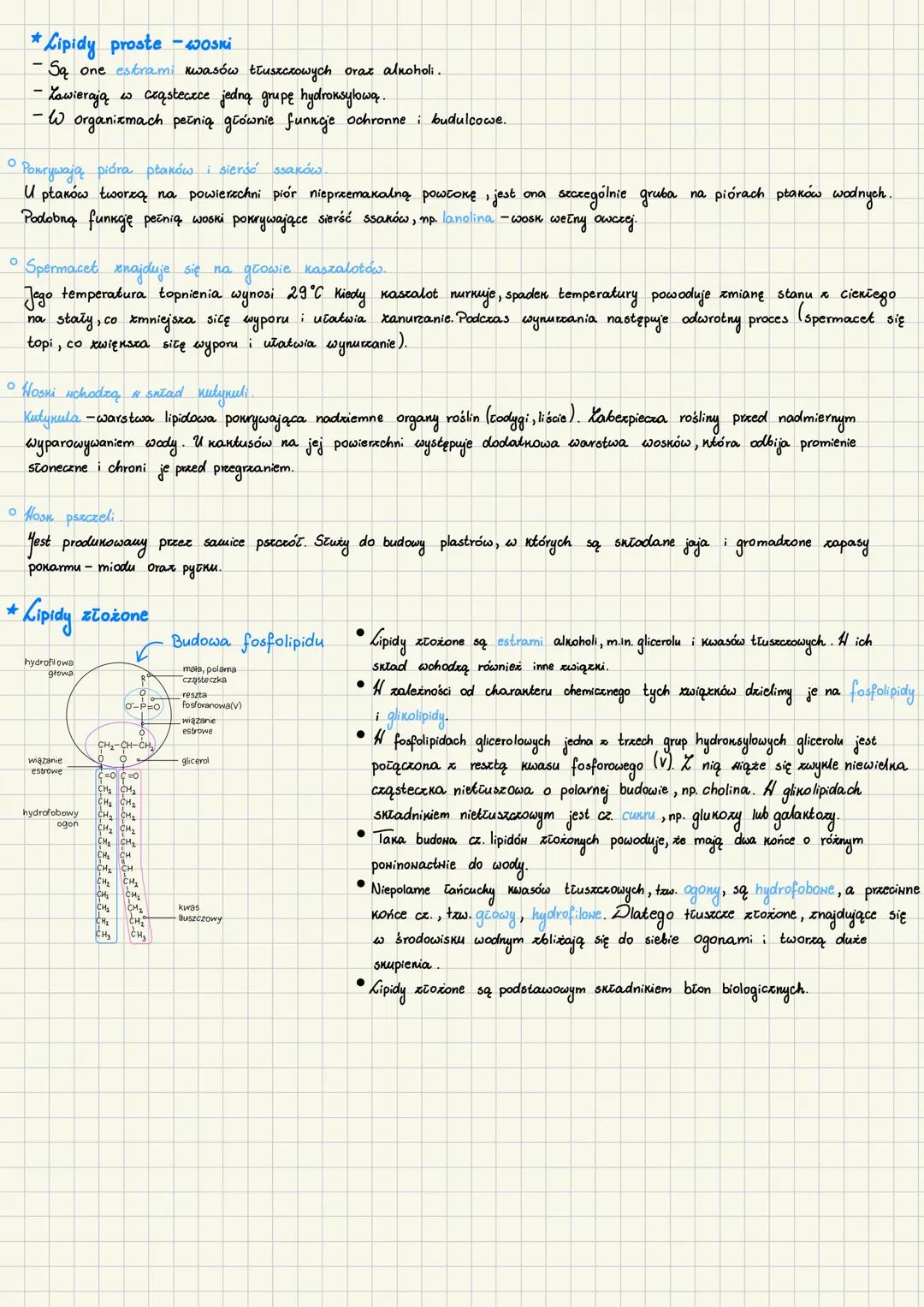 # Lipidly
tłuszczowce
- Główny składnik bion biologicznych wszystkich organizmów.
*Budowa i rodzaje lipidów
-Zwykle składają się z: węgla,