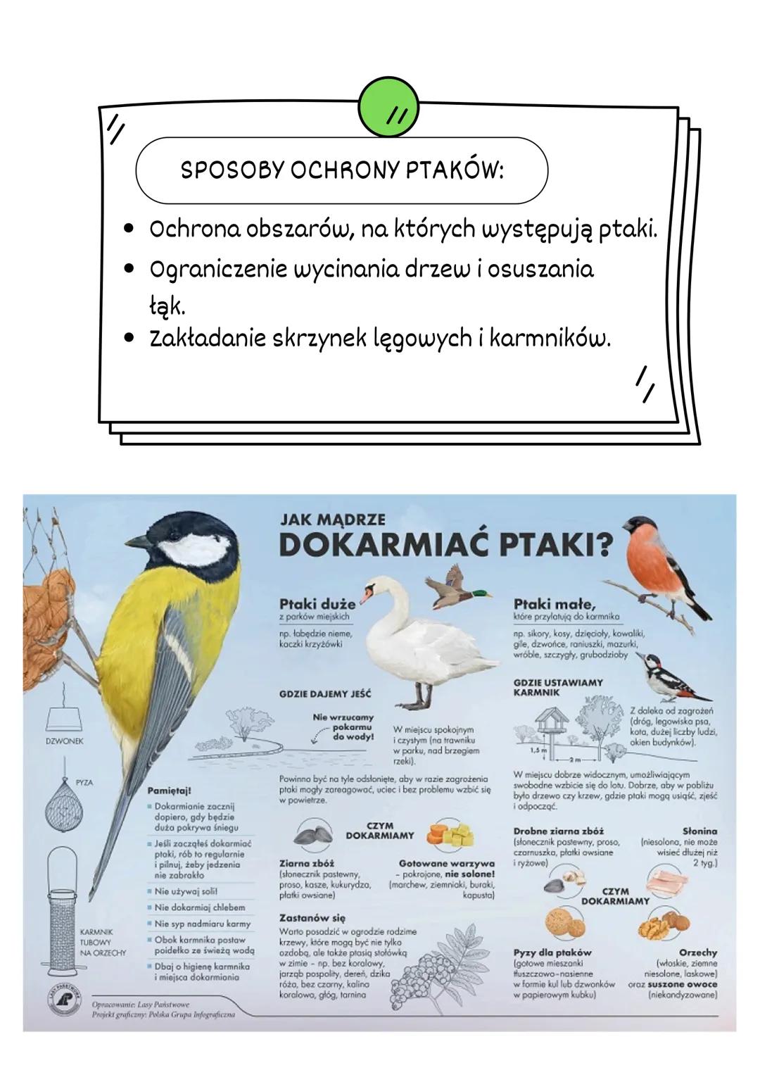 PTAKI
ŚRODOWISKO
ZYCIA:
WYSTĘPUJĄ NA WSZYSTKICH KONTYNENTACH.
► WYSTĘPUJĄ PRAWIE WE WSZYSTKICH TYPACH
ŚRODOWISK.
SĄ TAK POWSZECHNE PONIEWAŻ: