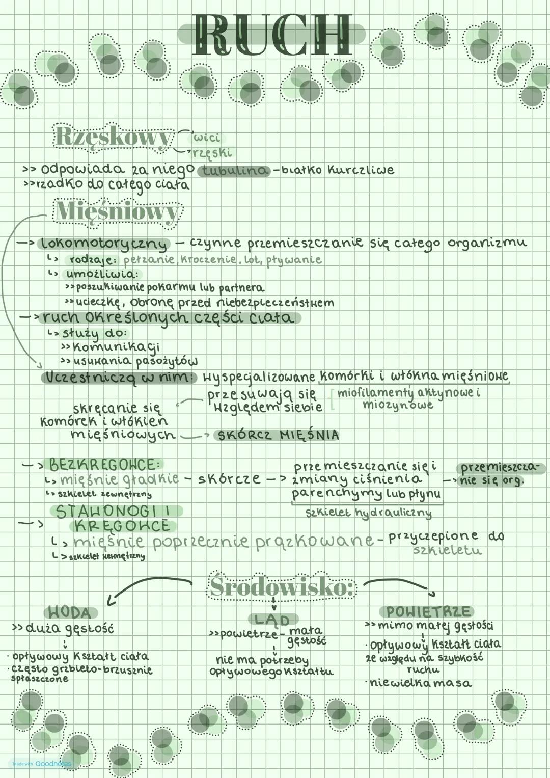 # RUCH
wici
Rzęskowy Cuck
rzęski
>> odpowiada za niego tubulina-białko Kurczliwe
>>rzadko do całego ciała
Mięśniowy
-> Lokomotoryczny - c