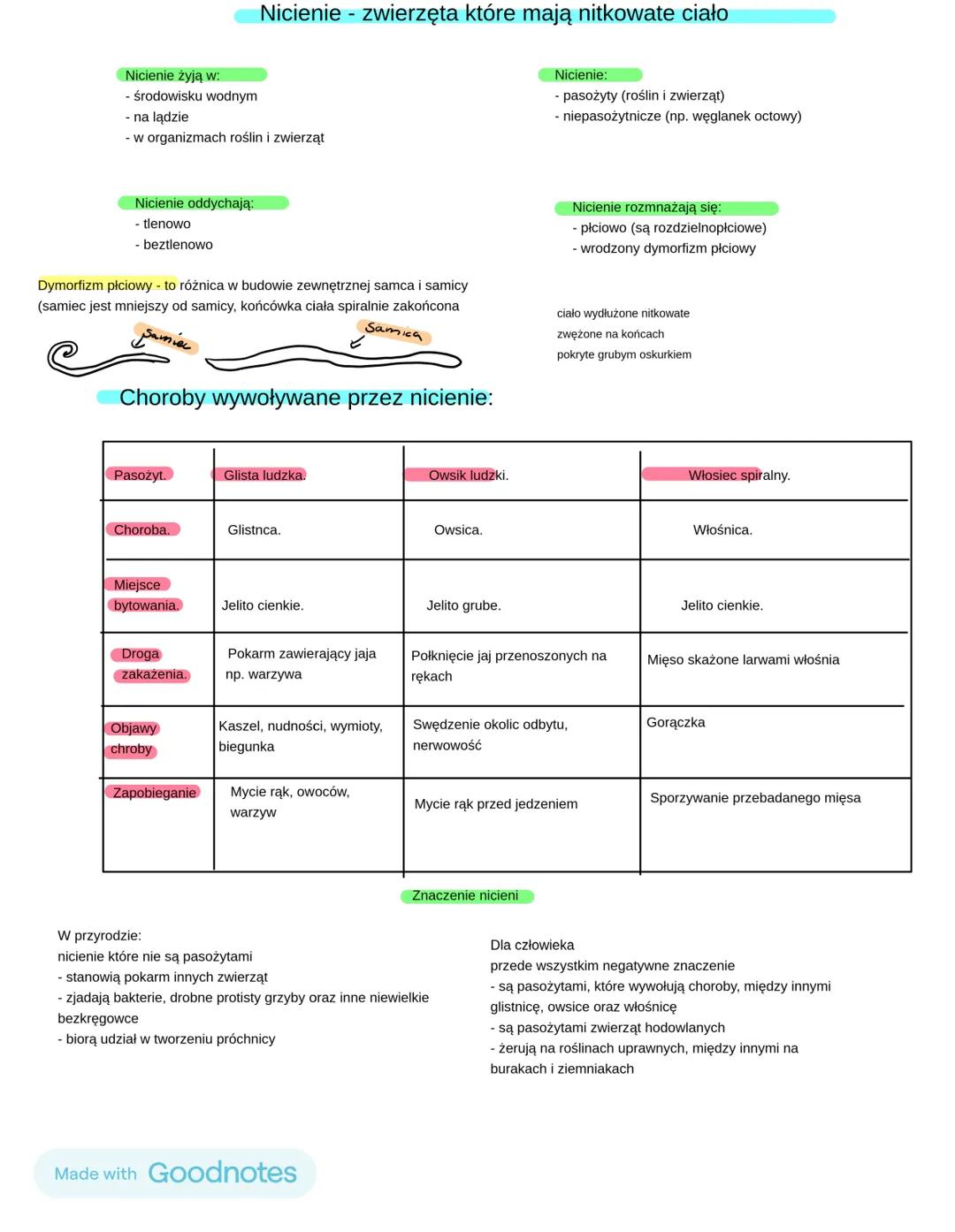 Nicienie - zwierzęta które mają nitkowate ciało
Nicienie żyją w:
- środowisku wodnym
- na lądzie
- w organizmach roślin i zwierząt
Nicienie: