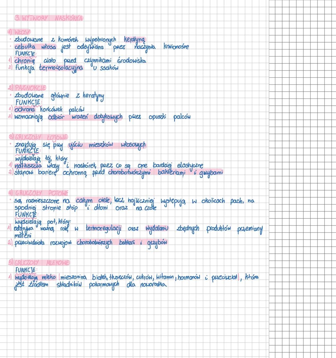 # SKÓRA
BUDOWA FUNKCJE SKÓRY
fingerprints odciski
palców
photoaging starzenie
skóry
Skin skóra
Keratinized Layer>
Warstwa keratynowa
4