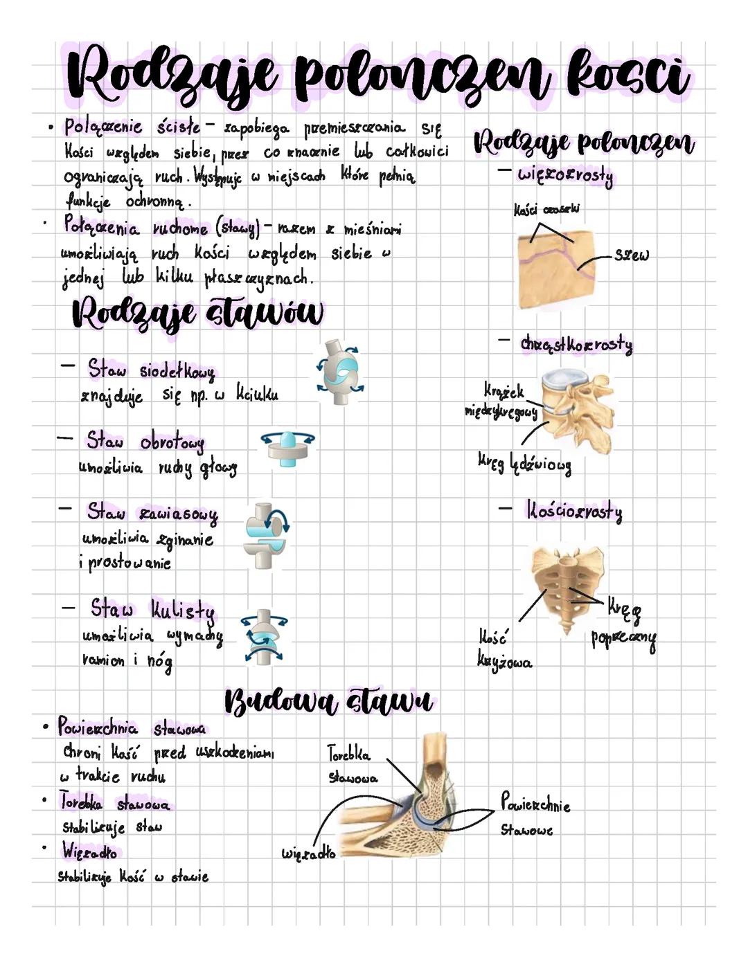 Rodzaje polonczen kosci