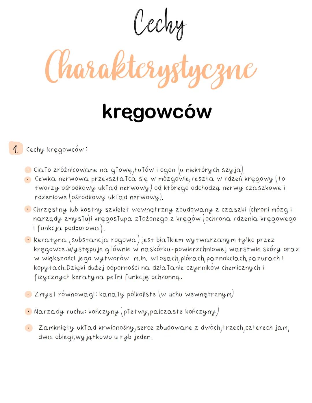 Cechy charakterystyczne kręgowców