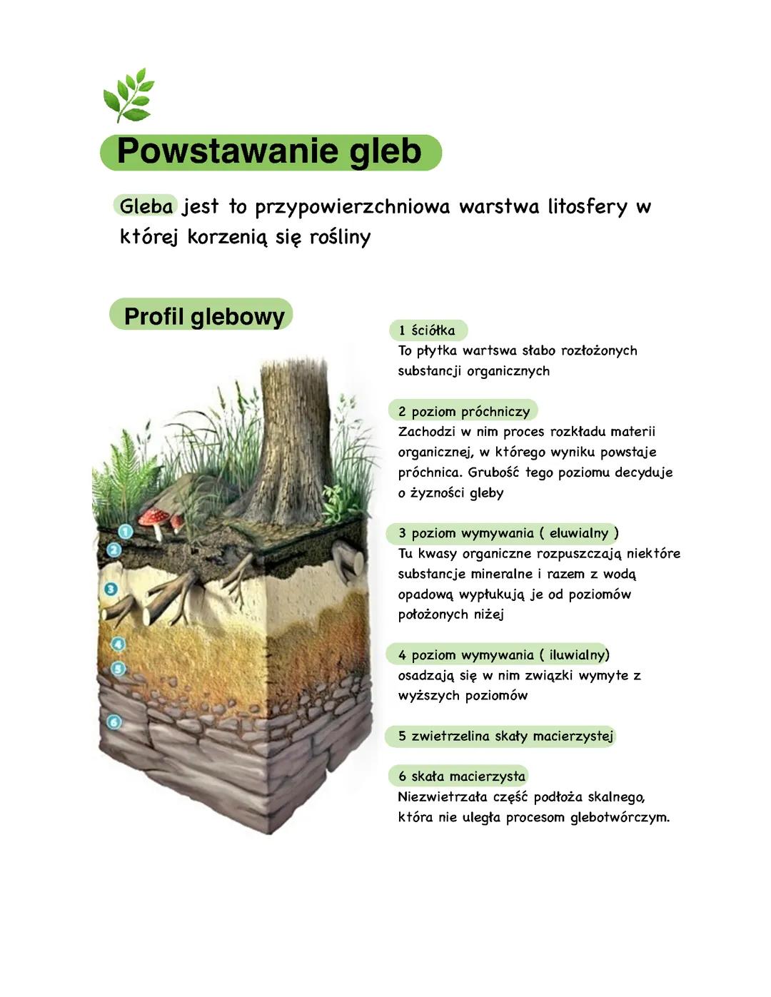 Powstawanie gleb