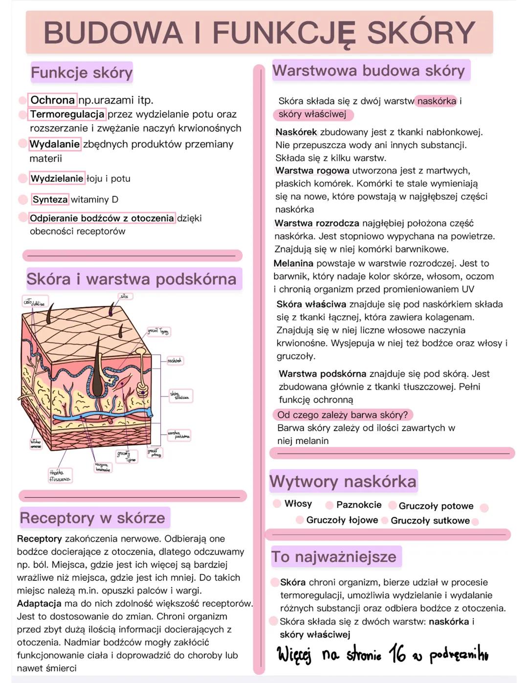Budowa i funkcje skóry biologia